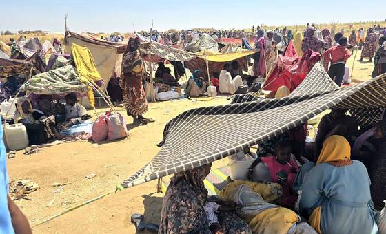 مخيم للنازحين السودانيين في مركز استقبال في الطويلة بعد فرارهم من الفاشر والمناطق المحيطة بها في شمال دارفور في أكتوبر 2025.